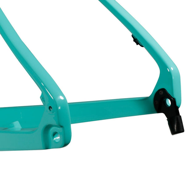 Fat Bike Frame SN01